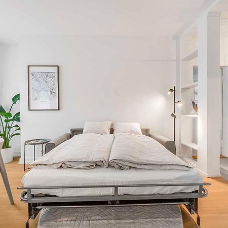 Bc Apart 1 - Charming Apartment In City Center - Close To Rhine And Old Town Basel Luaran gambar